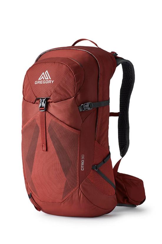 26SS 그래고리 백팩 AO510014 BRICK RED DOM