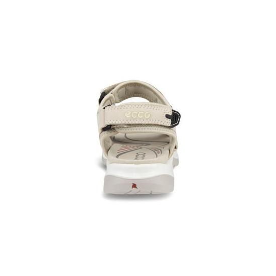 26SS 에코 샌들 069563 01378 LIMESTONE DOM - ECCO