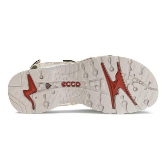 26SS 에코 샌들 069563 01378 LIMESTONE DOM - ECCO