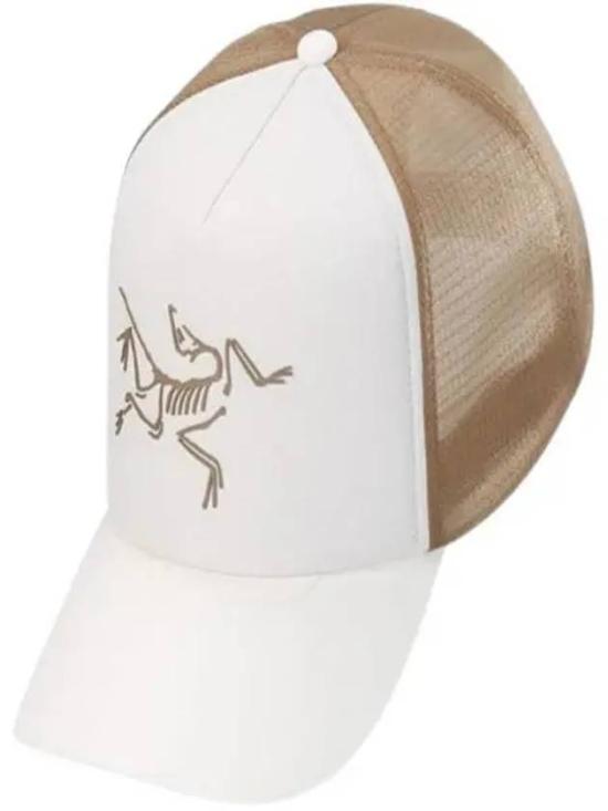  아크테릭스 볼캡 AEOSUX7764ACS ARCTIC SILK CANVAS DOM