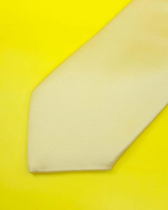  어니스트 더블유 베이커 넥타이 어니스트 W. 베이커 비스코스 클래식 타이 골드 - ERNEST W. BAKER