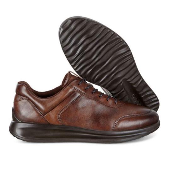 25FW 에코 스니커즈 20712401482 COCOA BROWN DOM - ECCO