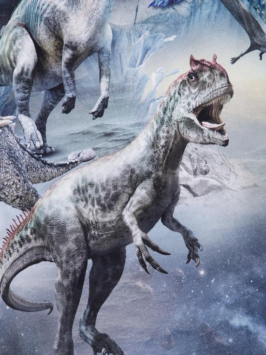  [키즈] 몰로 티셔츠 1W24A401 9147 DINOVERSE - MOLO