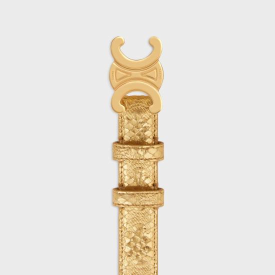 24FW 셀린느 레귤러 벨트 45AK93AP5 35OR - CELINE