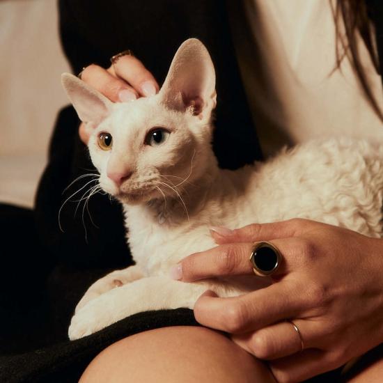  타린 토마스 반지 Tarin Thomas Augustus  멀티 - TARIN THOMAS