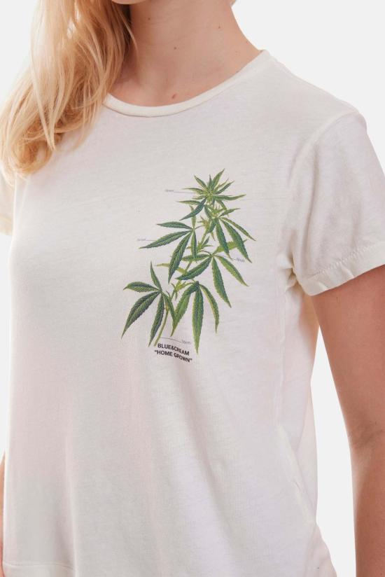  블루&크림 반팔 티셔츠 리프 티 에크루 - BLUE&CREAM