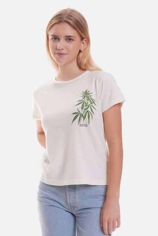  블루&크림 반팔 티셔츠 리프 티 에크루 - BLUE&CREAM