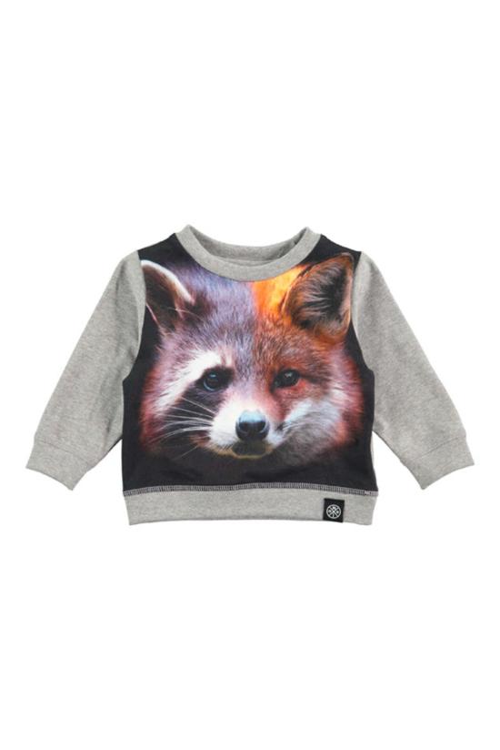  [키즈] 몰로 티셔츠 키즈  엘비스 Ls 티 그레이