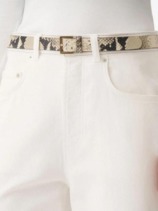  파비아나 필리피 레귤러 벨트 AAD265A973L2520000 - FABIANA FILIPPI