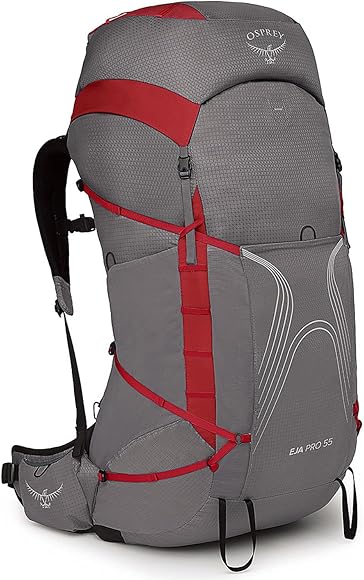 25FW 오스프리 백팩 55DALEGREYPOINSETTIARED DALE GREY POINSETTIA RED DOM