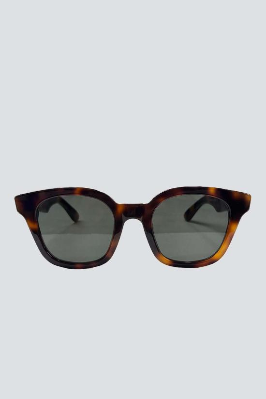  어셈블리 뉴욕 안경 어셈블리 아세테이트 워소 2 선글라스 토토이즈