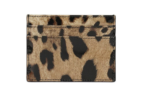 24FW 돌체앤가바나 카드지갑 BI0330 MULTICOLOUR - DOLCE & GABBANA