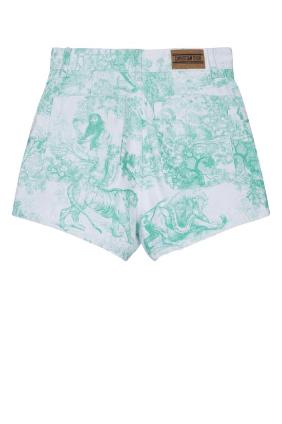 24FW 크리스챤디올 숏팬츠 442P30A3395 0864 FANTAISIE - DIOR