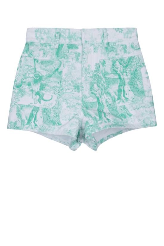 24FW 크리스챤디올 숏팬츠 442P30A3395 0864 FANTAISIE