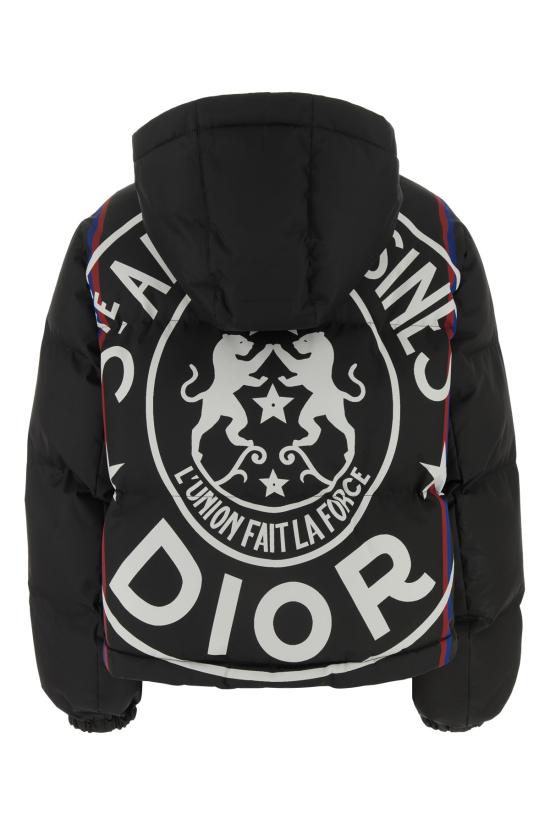 24FW 크리스챤디올 패딩 327C21A2726 9629 MULTICOLOR - DIOR