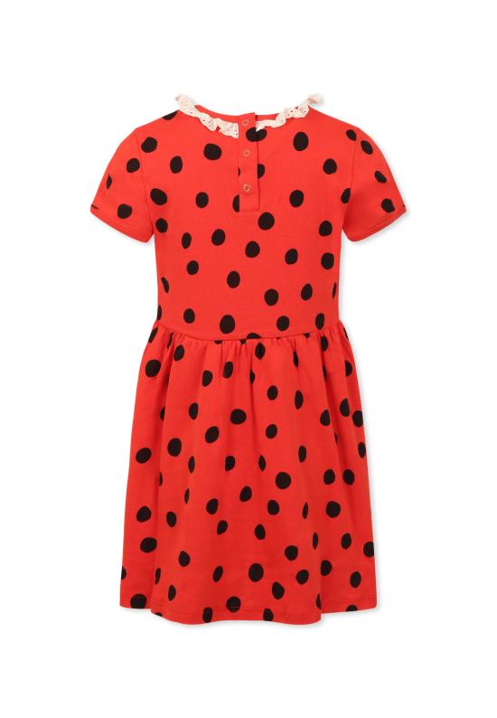 25SS [키즈] 미니로디니 원피스 2525010042 RED - MINI RODINI