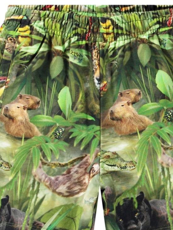 25SS [키즈] 몰로 트레이닝/조거 팬츠 1S25H202 9290 JUNGLE ANIMALS - MOLO