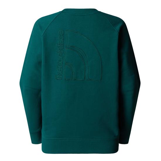 25SS 노스페이스 긴팔 티셔츠 NF0A8C396GI1 DEEP NORI - NORTH FACE