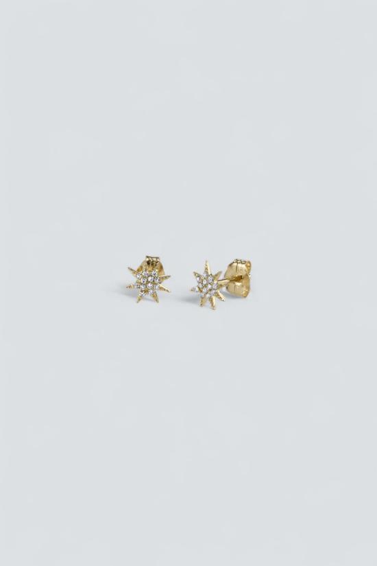  가브리엘라 아티가스 이어링 가브리엘라 아르티가스 싱글 슈팅스타  14K