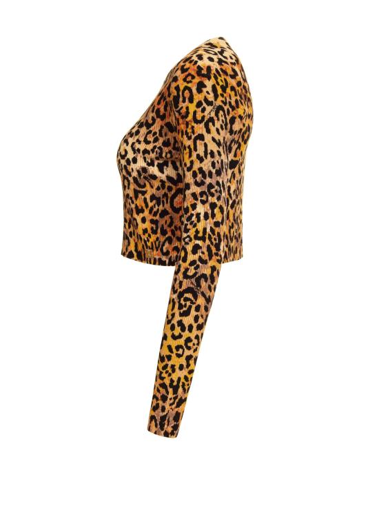  저스트까발리 스웨터 76PAFM13 CMF15711 Brown - JUST CAVALLI