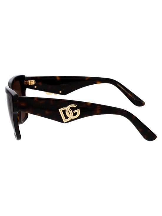 26SS 돌체앤가바나 선글라스 0DG4436 502 73 havana - DOLCE & GABBANA