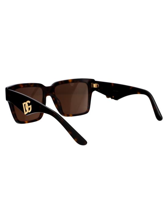 26SS 돌체앤가바나 선글라스 0DG4436 502 73 havana - DOLCE & GABBANA