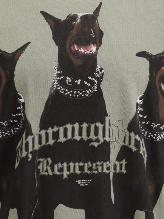 26SS 리프레젠트 반팔 티셔츠 MLM41135 KHAKI GREEN - REPRESENT