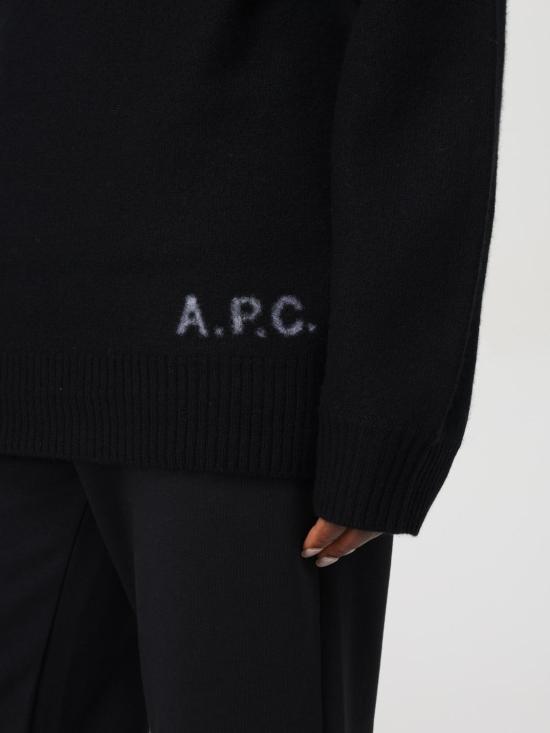 24FW 아페쎄 터틀넥 WVBDJM23248 LZZ Black - A.P.C.