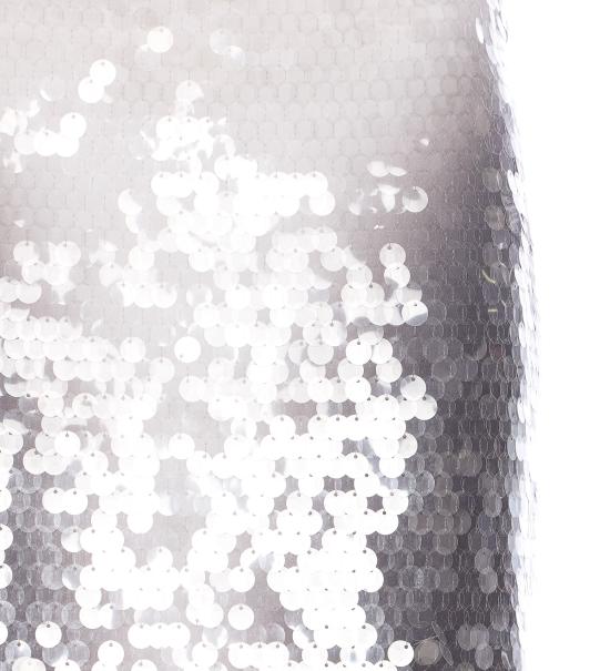 25SS 스포트막스 미디 스커트 2512771022600 TOANO 005 Silver - SPORTMAX