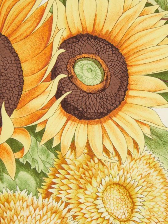 25SS 살바토레 페라가모 머플러/스카프 310196 780053001 Ivory - SALVATORE FERRAGAMO