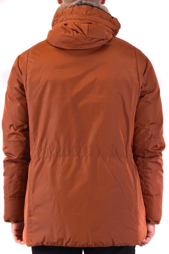  페트레이 패딩 PEU3325 01181176 085 orange - PEUTEREY