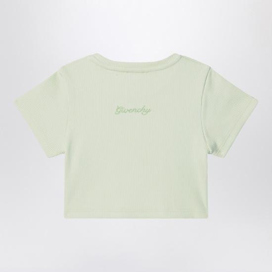 H30804 CCO Green