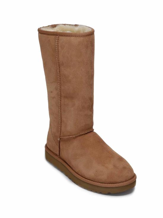 25FW 어그 부츠 1016224CHESTNUT Brown - UGG