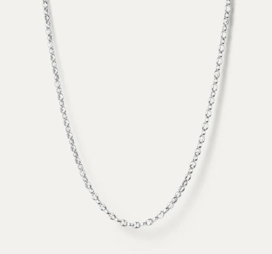  제니 버드 목걸이/팬던트 다니 체인 실버