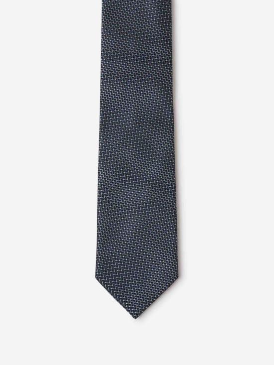 25SS 에르메네질도제냐 액세서리 Z9D31TA9 1P81P8 429BL3 BLUE - ERMENEGILDO ZEGNA