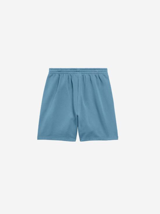 25SS 발렌시아가 숏팬츠 826385TSVG6TSVG6 1463Grey Blue BLUE - BALENCIAGA