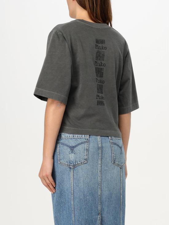 25FW 핑코 반팔 티셔츠 104606A2D0 I63 Grey 1 - PINKO