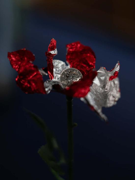  LL 이어링 Ll Llc 다임 스터드 귀걸이 스털링 실버