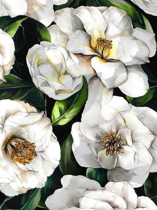 25SS 돌체앤가바나 머플러/스카프 FN090RGDCUG HD5JB Multicolor - DOLCE & GABBANA