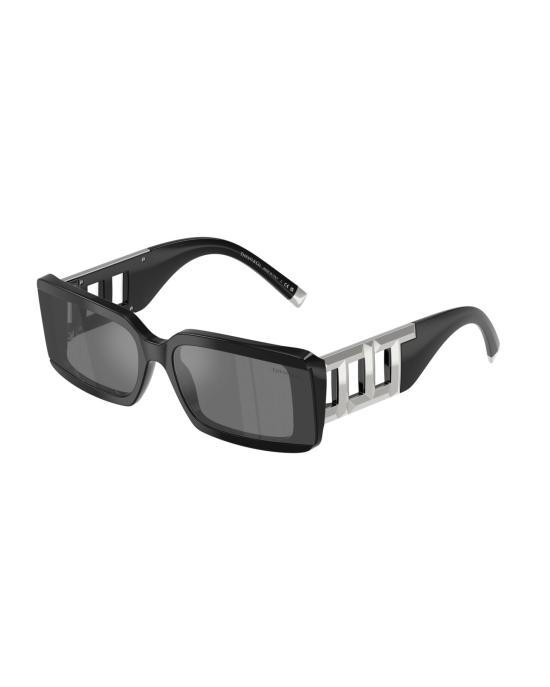  티파니앤코 선글라스 0TF4197 84306G Black
