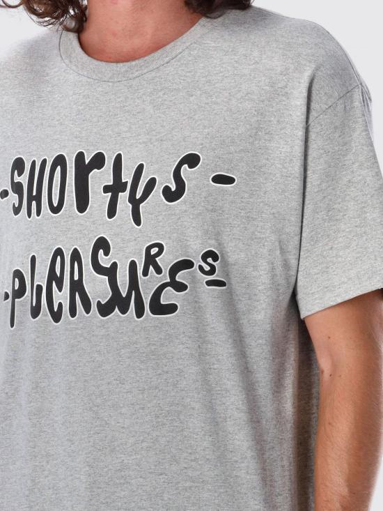 24FW 플레셔스 반팔 티셔츠 P24F021 Grey - PLEASURES