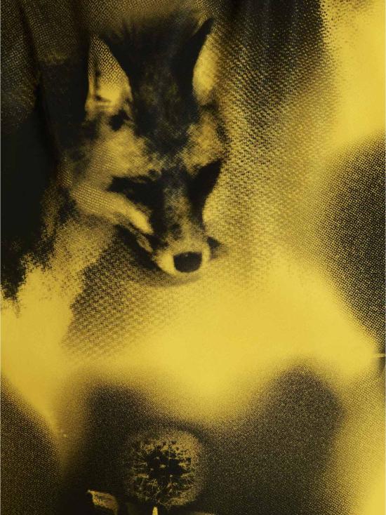  프라다 자켓 SGC09111P1F0010 Yellow - PRADA