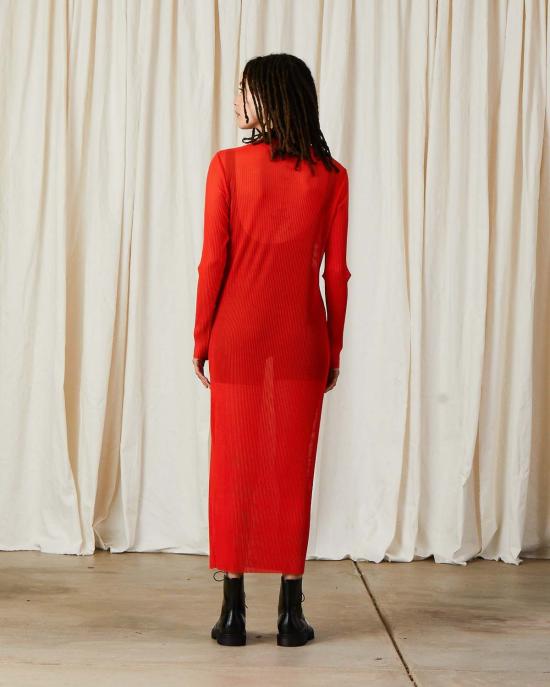  알리 골든 롱 원피스 플리츠 메시 드레스 포피 - ALI GOLDEN