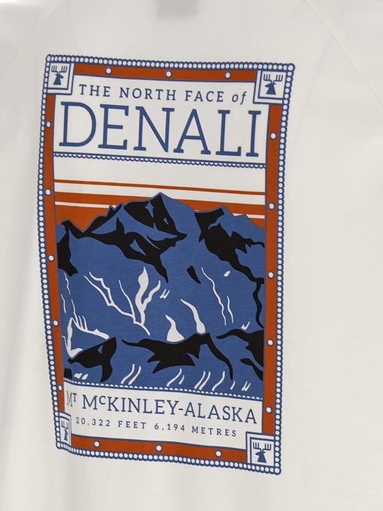 25SS 노스페이스 반팔 티셔츠 NF0A87NUFN41NFFN4 - NORTH FACE