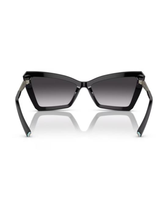  티파니앤코 선글라스 0TF4203 80013C Black - TIFFANY & CO
