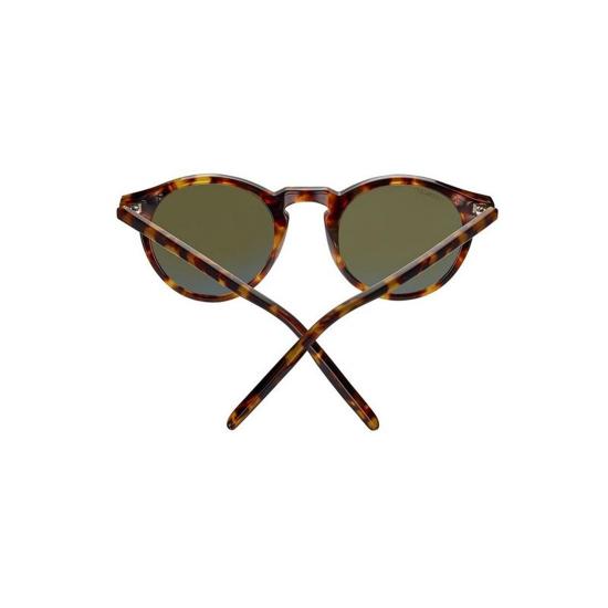  세렝게티 선글라스 RAFFAELE SS041002 Havana - SERENGETI