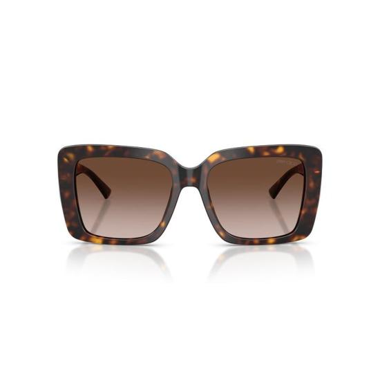  지미추 선글라스 JC5042 500213 Havana - JIMMY CHOO