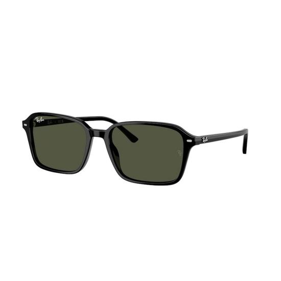  레이밴 선글라스 RB2231 901 31 Black