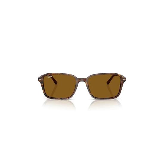  레이밴 선글라스 RB2231 141833 Indeterminate - RAY BAN