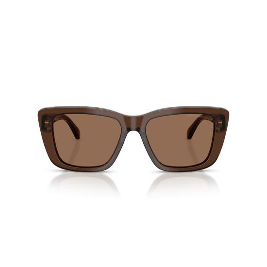  엠포리오 아르마니 선글라스 EA4246U 625173 Brown - EMPORIO ARMANI